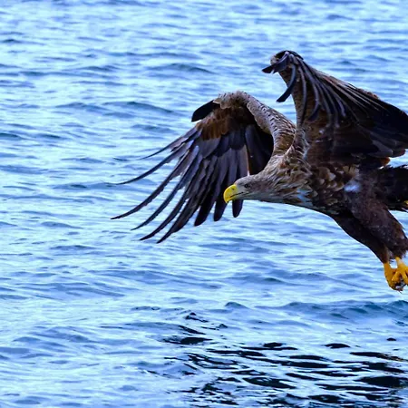 Klippen - The Rock * Alstad (Nordland)