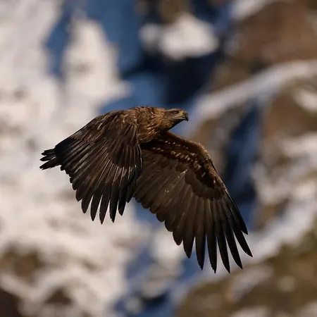 Klippen - The Rock Feriehus *